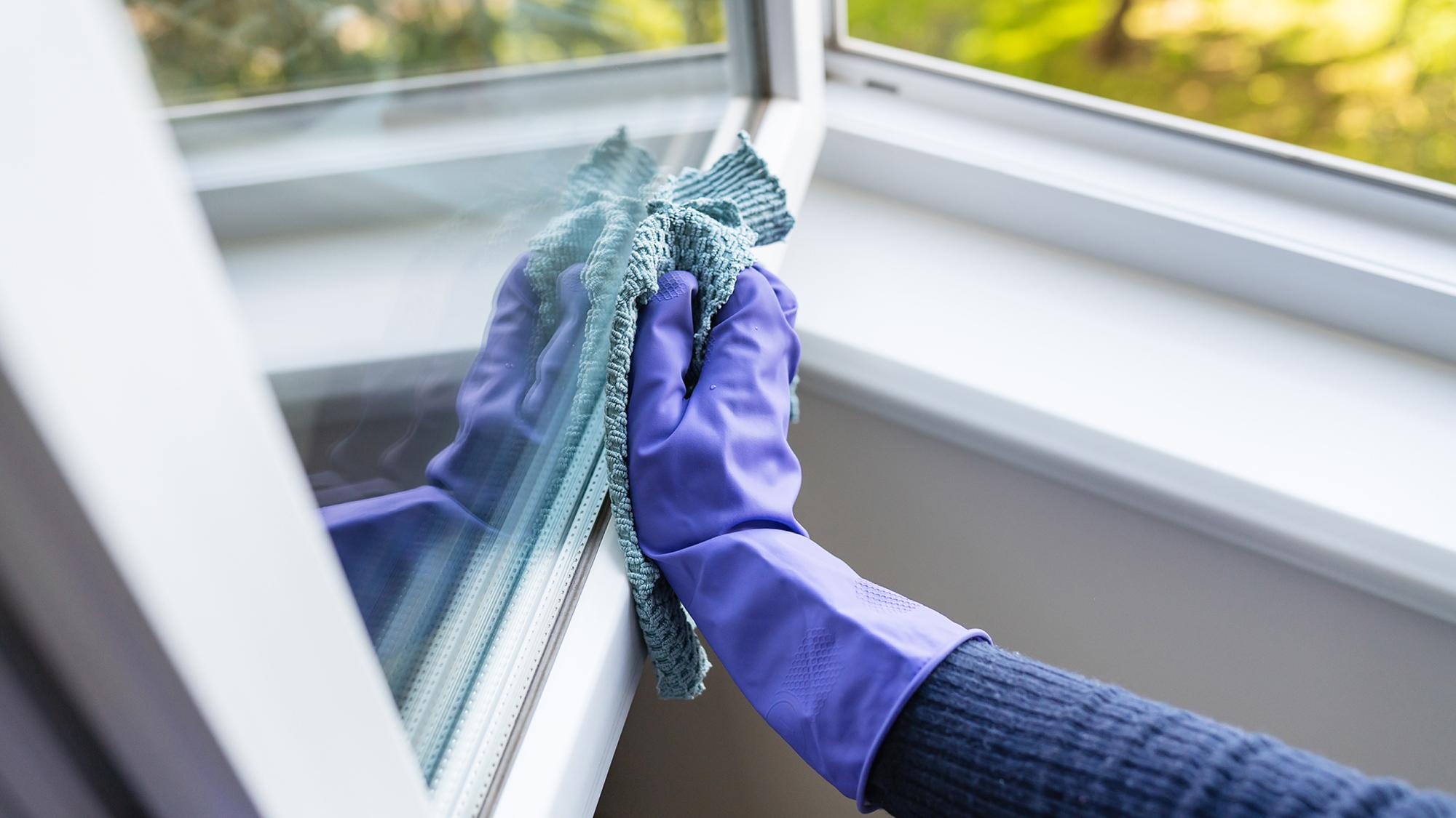 A person wearing purple rubber gloves is cleaning a window with a cloth. The window is partially open, and greenery is visible in the background.